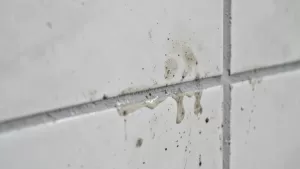 Czym myć płytki w łazience po remoncie