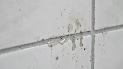 Czym myć płytki w łazience po remoncie